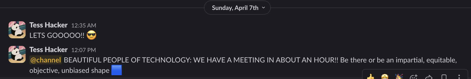 Tess Hacker, the SSE website project head reminding everyone on slack to show up for the meeting, with dates showing to be Sunday April 7 at 1pm